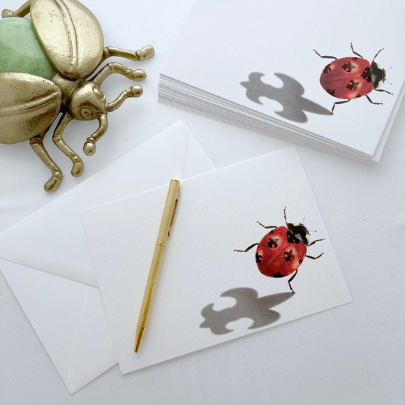 Ladybug Flat Card Pack - Picture 1 of 4